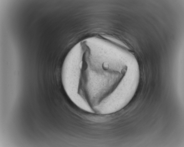 X0000115150036200911241538