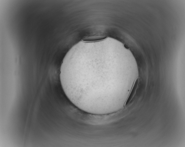 X0000115150037200911241538