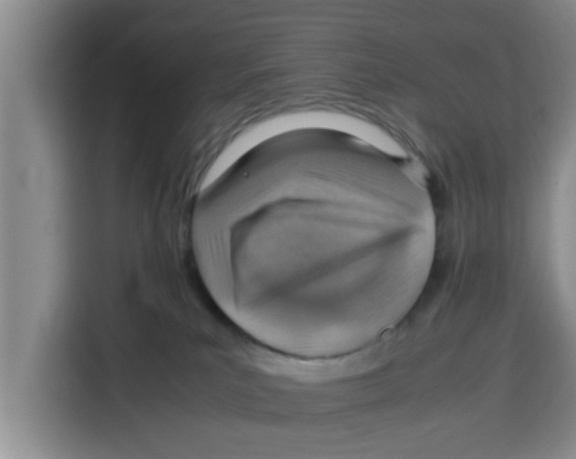 X0000115150039200911241538