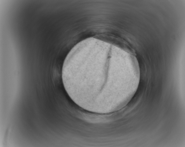 X0000115150040200911241538