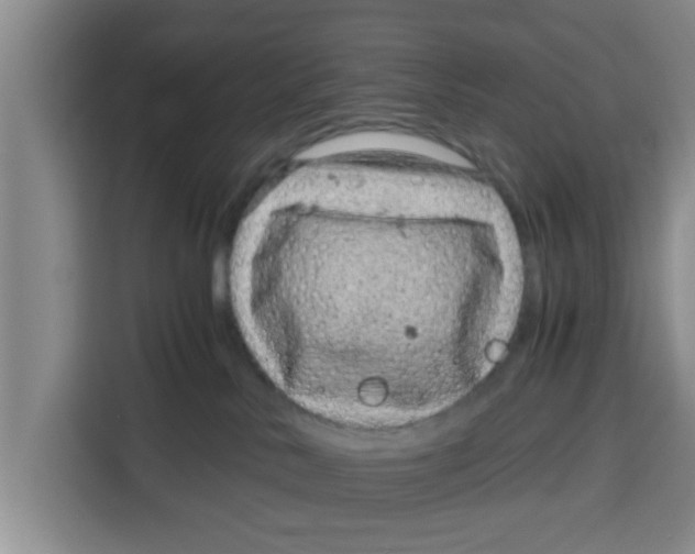 X0000115150042200911241537