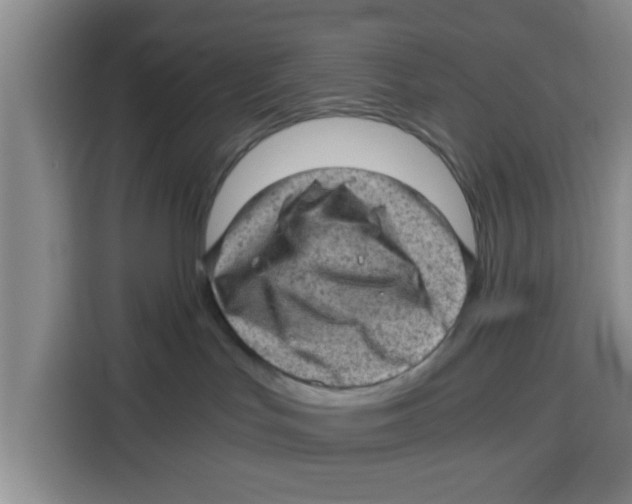 X0000115150047200911241537