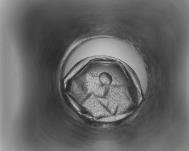 X0000115150056200911241537