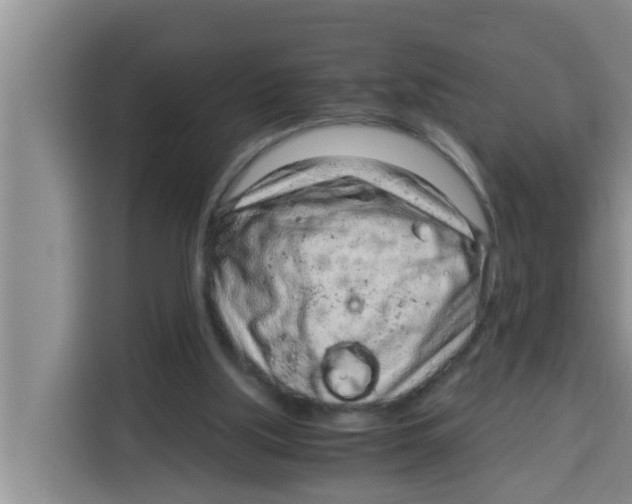 X0000115150059200911241537