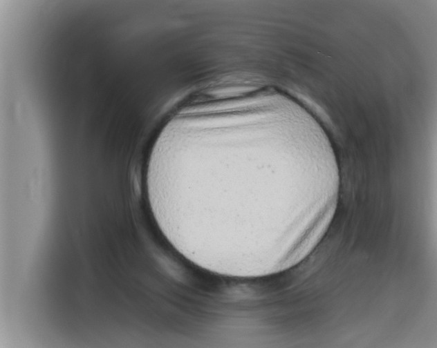 X0000115150062200911241537