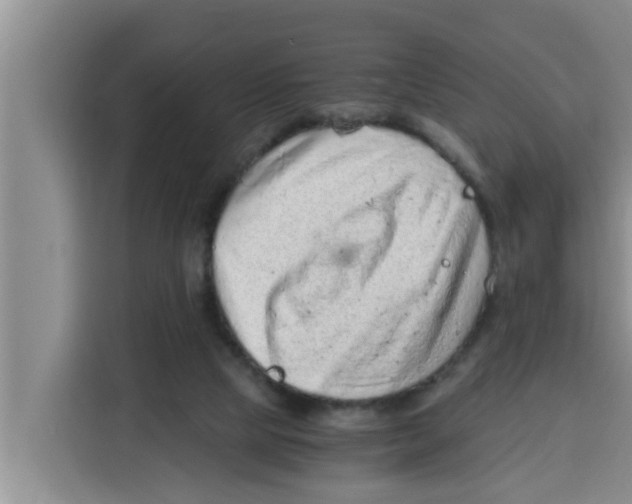 X0000115150065200911241537