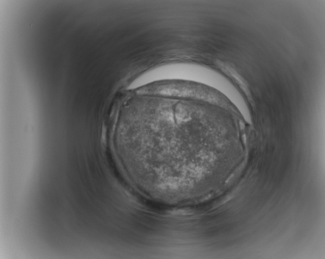 X0000115150067200911241537