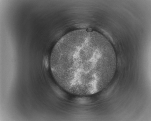 X0000115150069200911241537