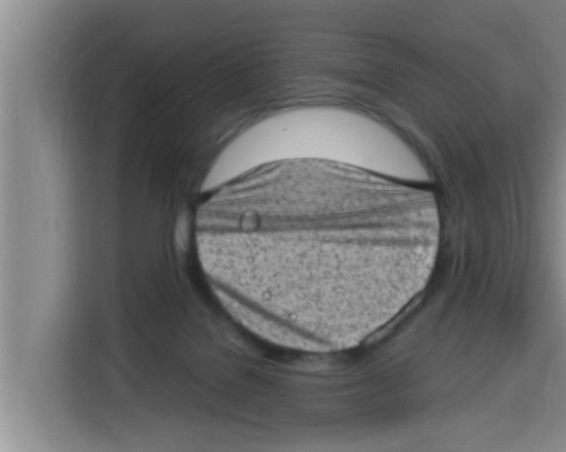 X0000115150076200911241537