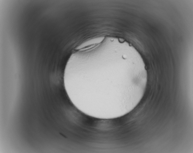 X0000115150077200911241537