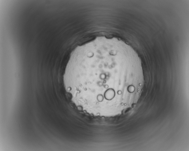 X0000115150078200911241537