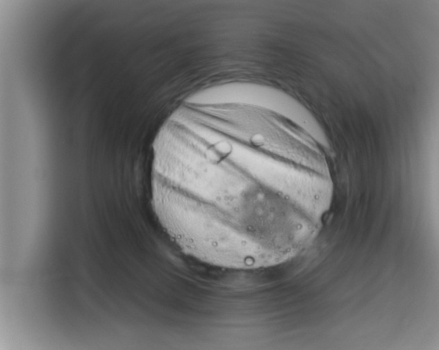 X0000115150082200911241537