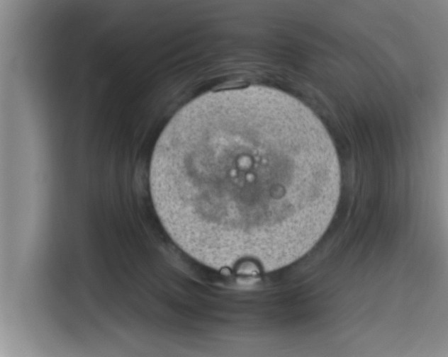 X0000115150083200911241537