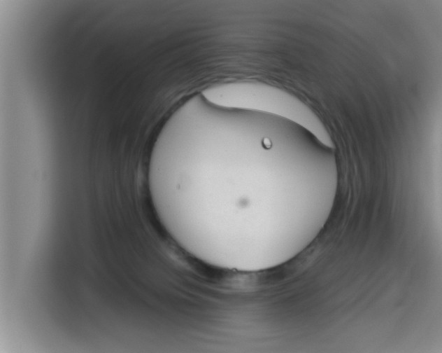 X0000115150084200911241537