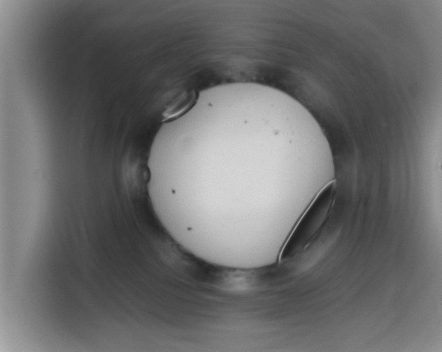 X0000115150088200911241537