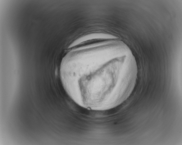 X0000115150089200911241537