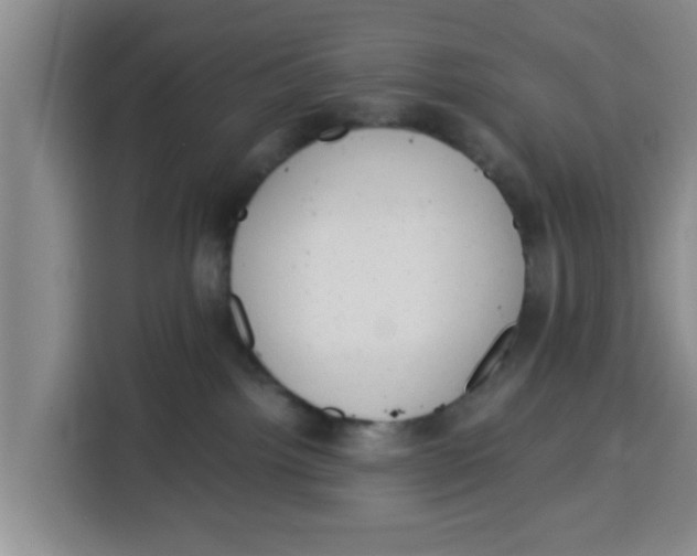 X0000115150092200911241537