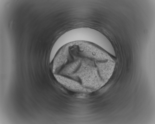 X0000115150096200911241537