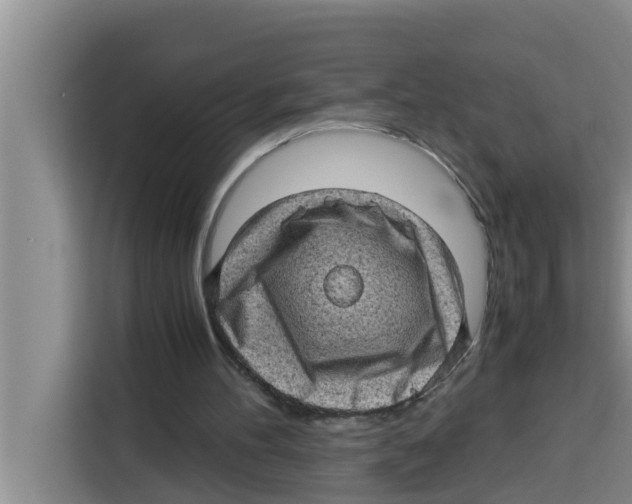 X0000115150100200911241537