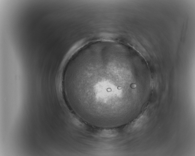 X0000115150101200911241537