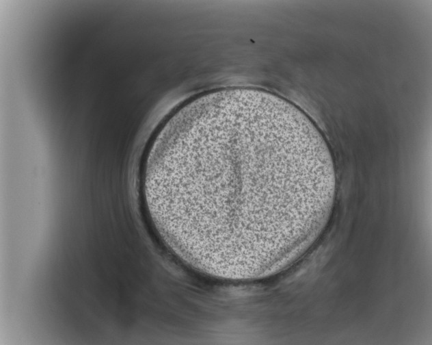 X0000115150103200911241537