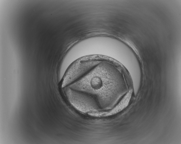 X0000115150105200911241537