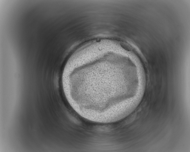 X0000115150106200911241537