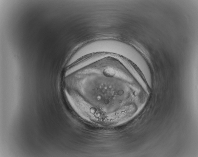 X0000115150107200911241537