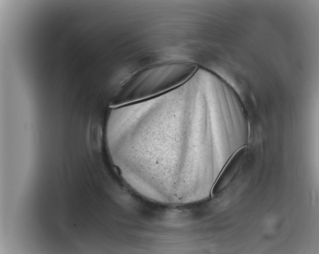 X0000115150109200911241537