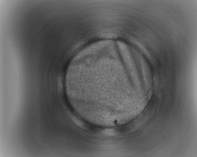 X0000115150114200911241537