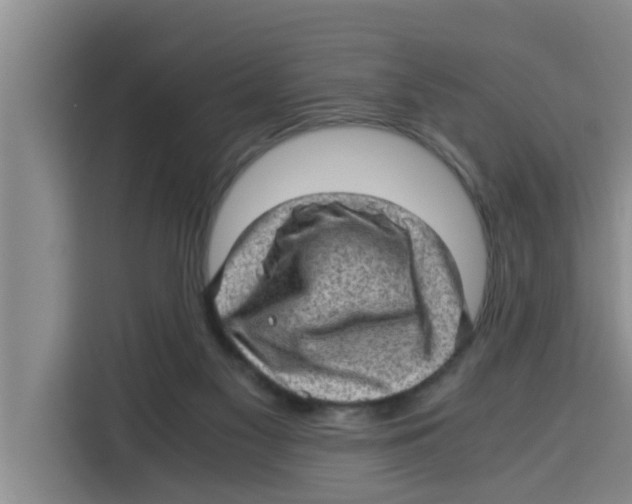 X0000115150117200911241536