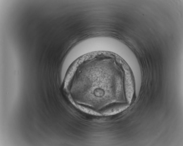 X0000115150120200911241536