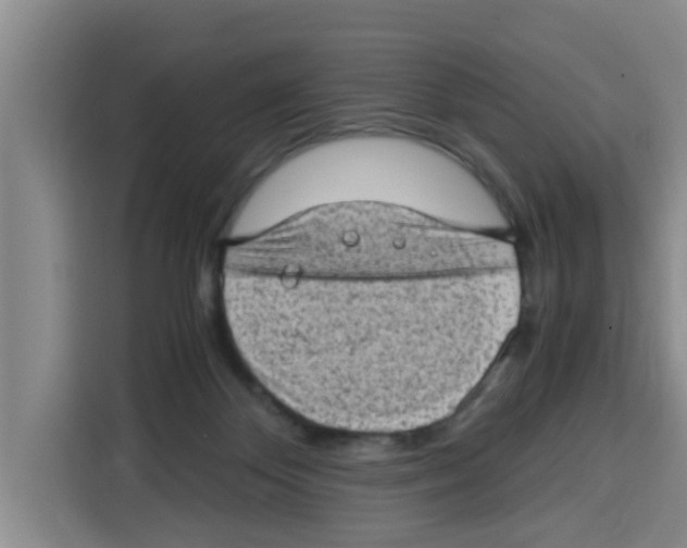 X0000115150124200911241536