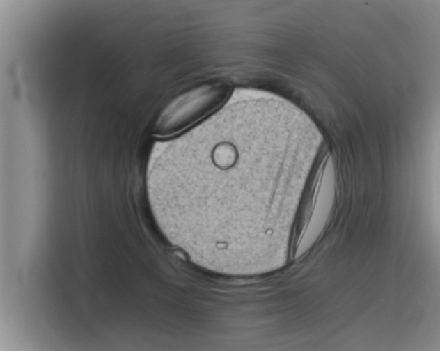 X0000115150129200911241536