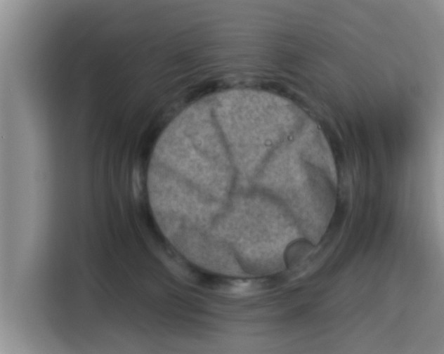 X0000115150130200911241536