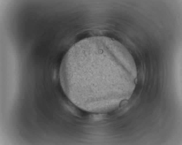 X0000115150134200911241536