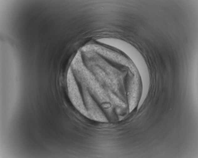 X0000115150137200911241536