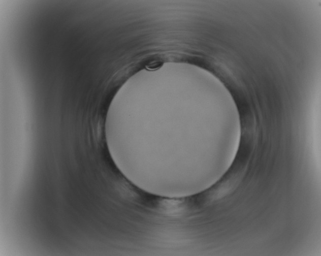 X0000115150139200911241536