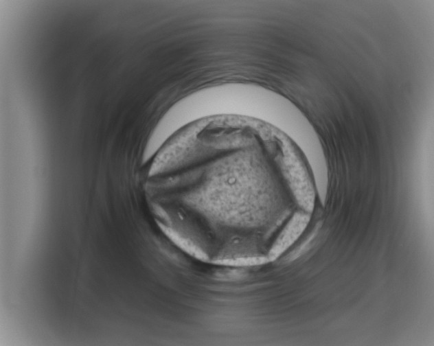 X0000115150140200911241536