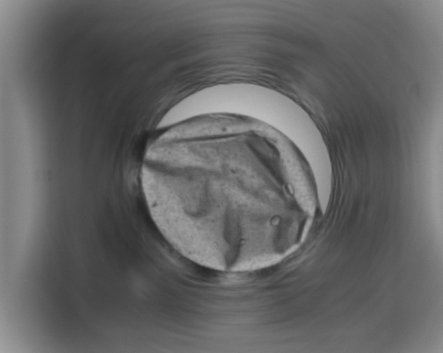 X0000115150141200911241536