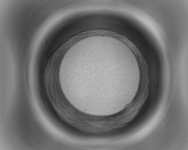 X0000115150142200911241536