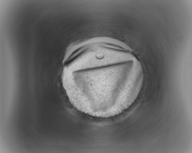 X0000115150144200911241536