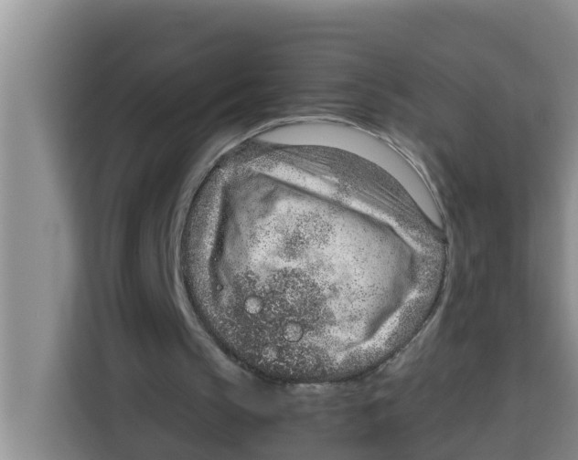 X0000115150145200911241536