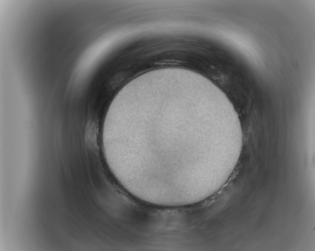 X0000115150146200911241536