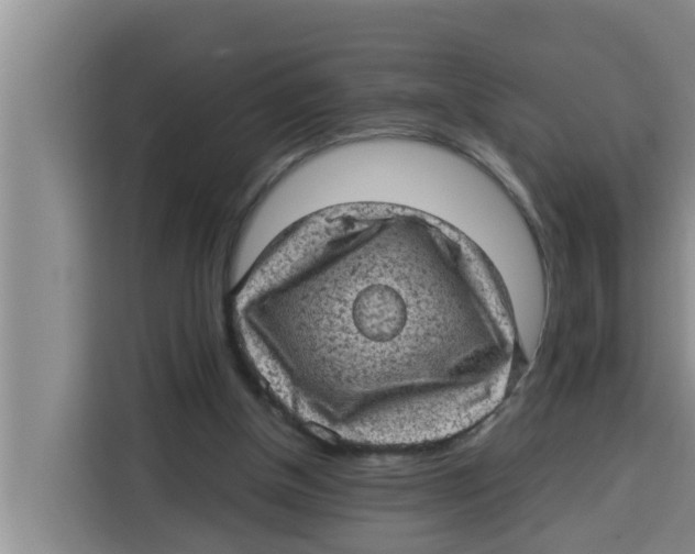 X0000115150154200911241536