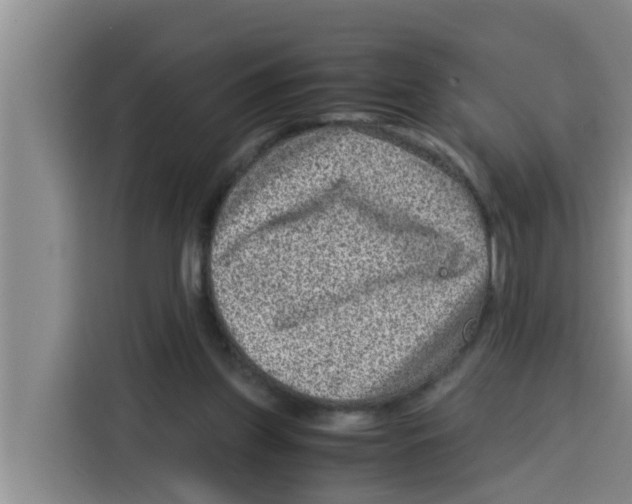 X0000115150157200911241536