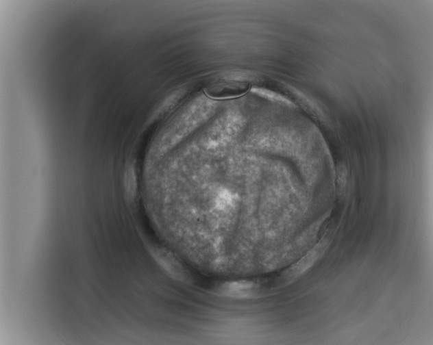 X0000115150158200911241536