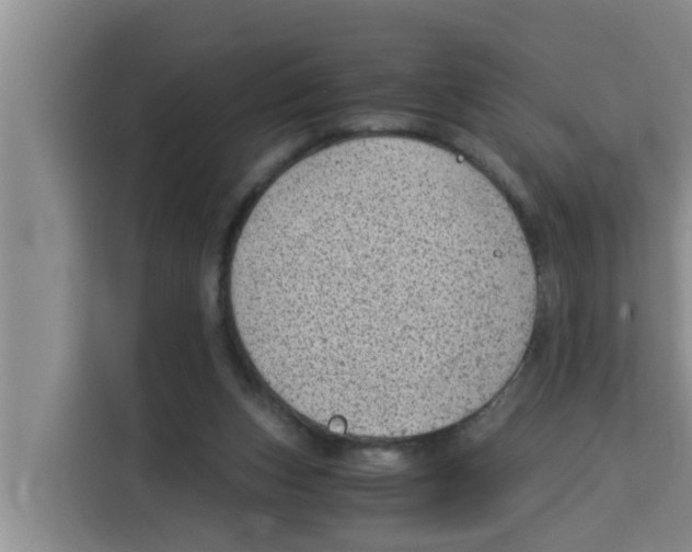 X0000115150159200911241536