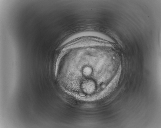 X0000115150161200911241536