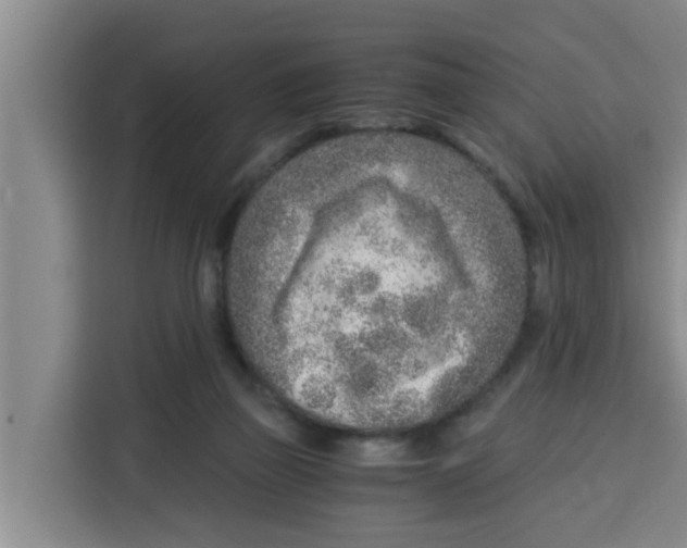 X0000115150165200911241536